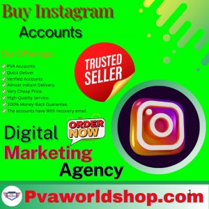 Buy Instagram Accounts